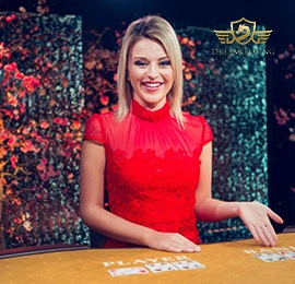 bingo8 Live Casino