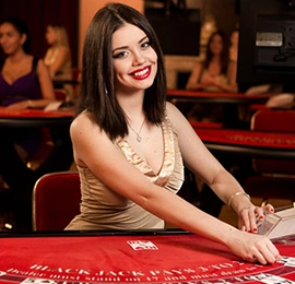 bingo8 Live Casino