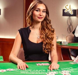 bingo8 Live Casino